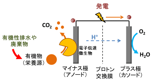 什么是微生物燃料電池？
